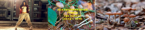 мдпв Козельск