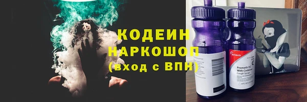 мдпв Козельск