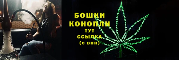мдпв Козельск