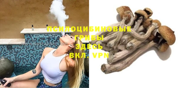 мдпв Козельск