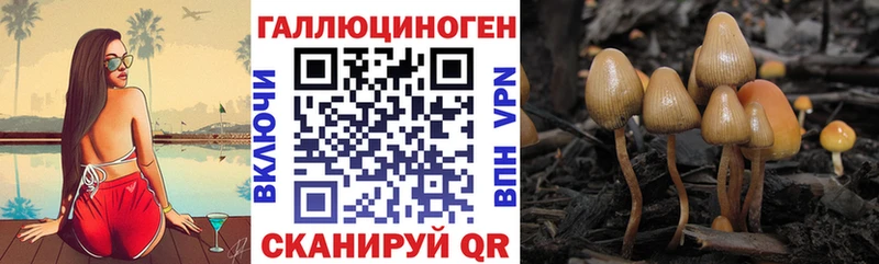 Псилоцибиновые грибы прущие грибы  Купить  Кандалакша 